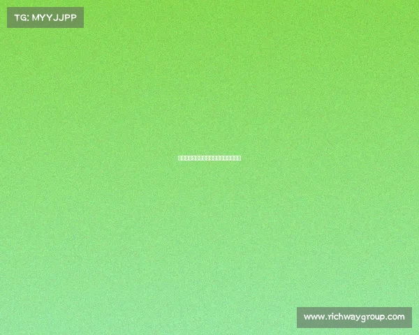 西甲主教练战术分析与球队风格演变探索